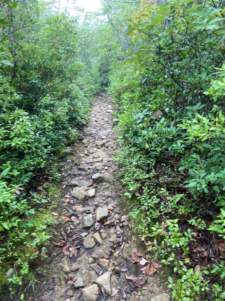 Sunset Fields to James River Foot Bridge and back on a rainy day