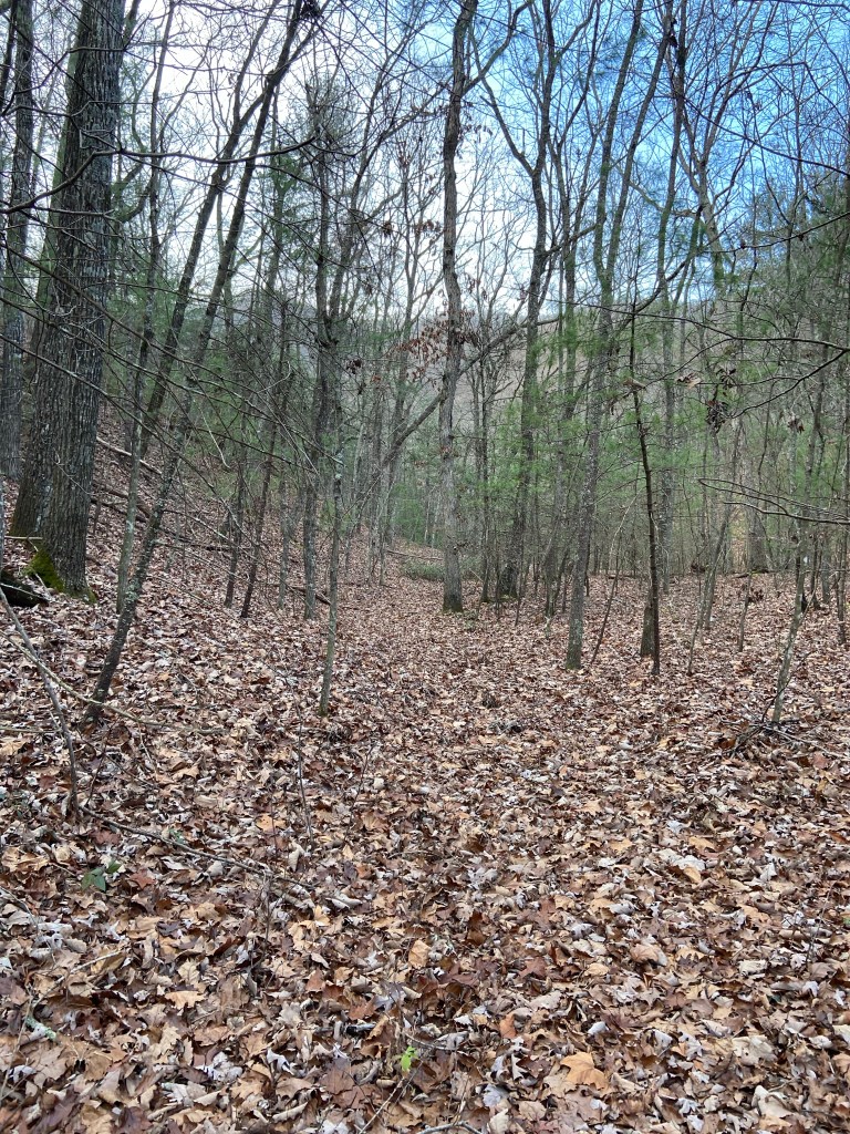 Glenwood Horse Trail - off course